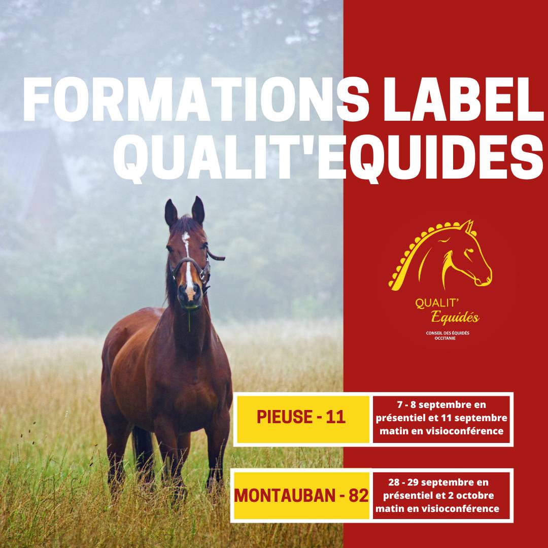 FORMATIONS QUALIT'EQUIDES