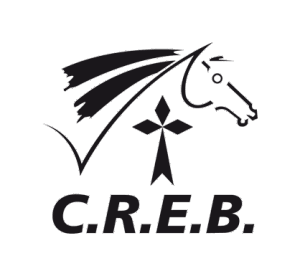 CREB - CSO - CHAMPIONNAT DE BRETAGNE Amateur + épreuves Pro